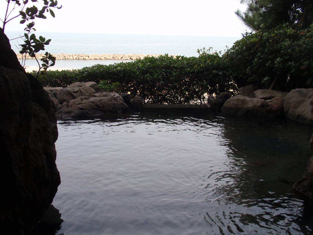 Senami Onsen (瀬波温泉)