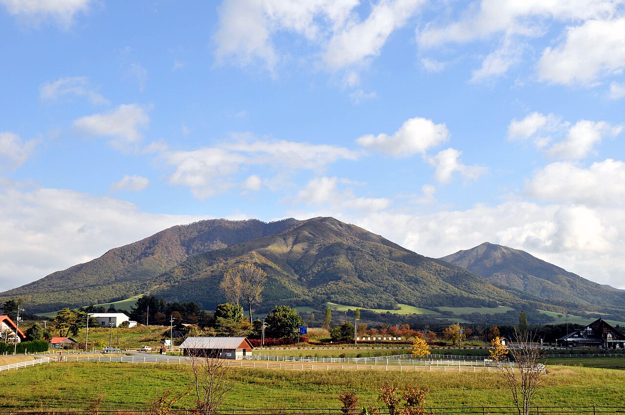 Hiruzen Onsen (蒜山高原温泉)