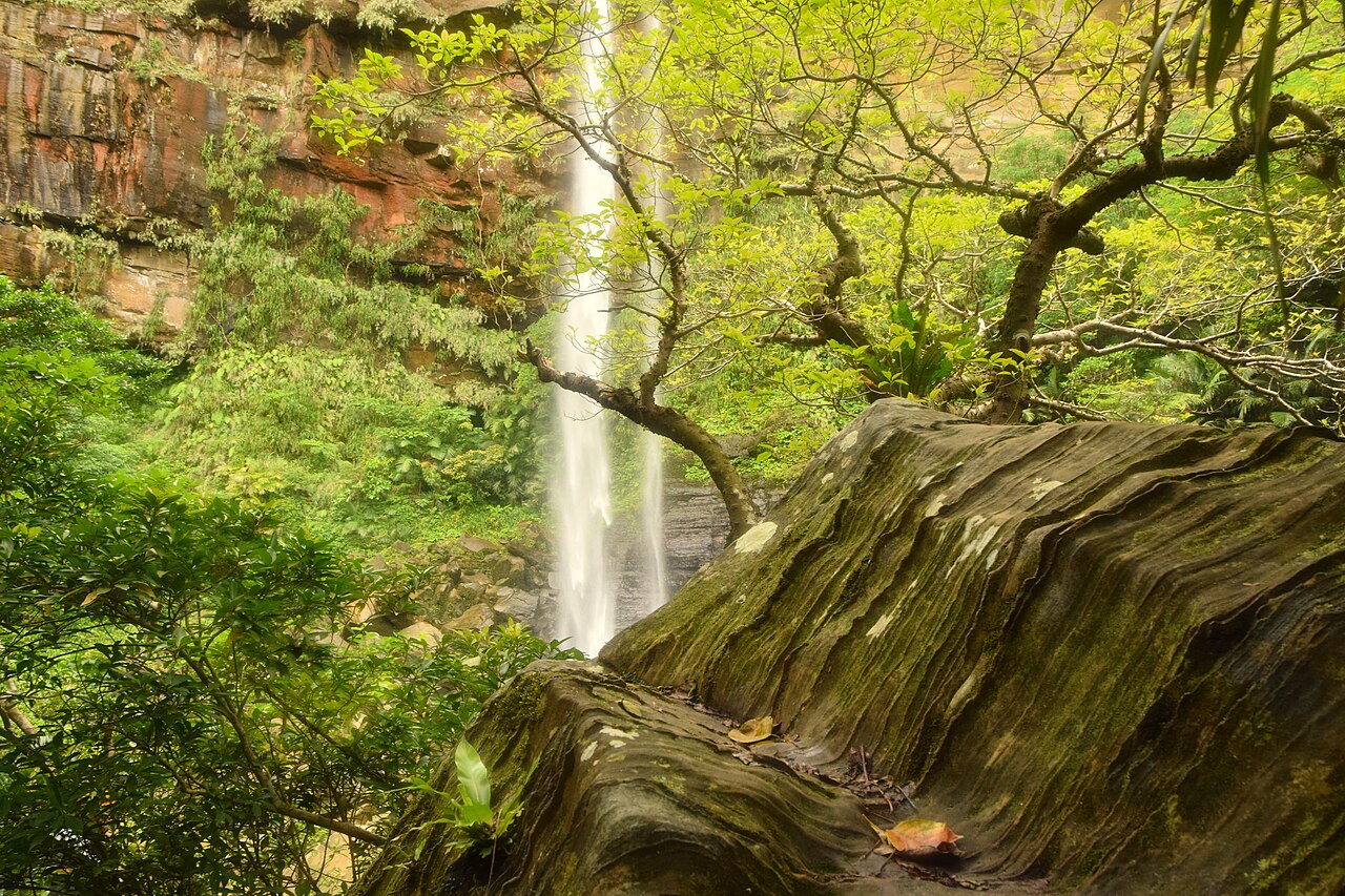 Iriomote Island Onsen (西表島温泉)