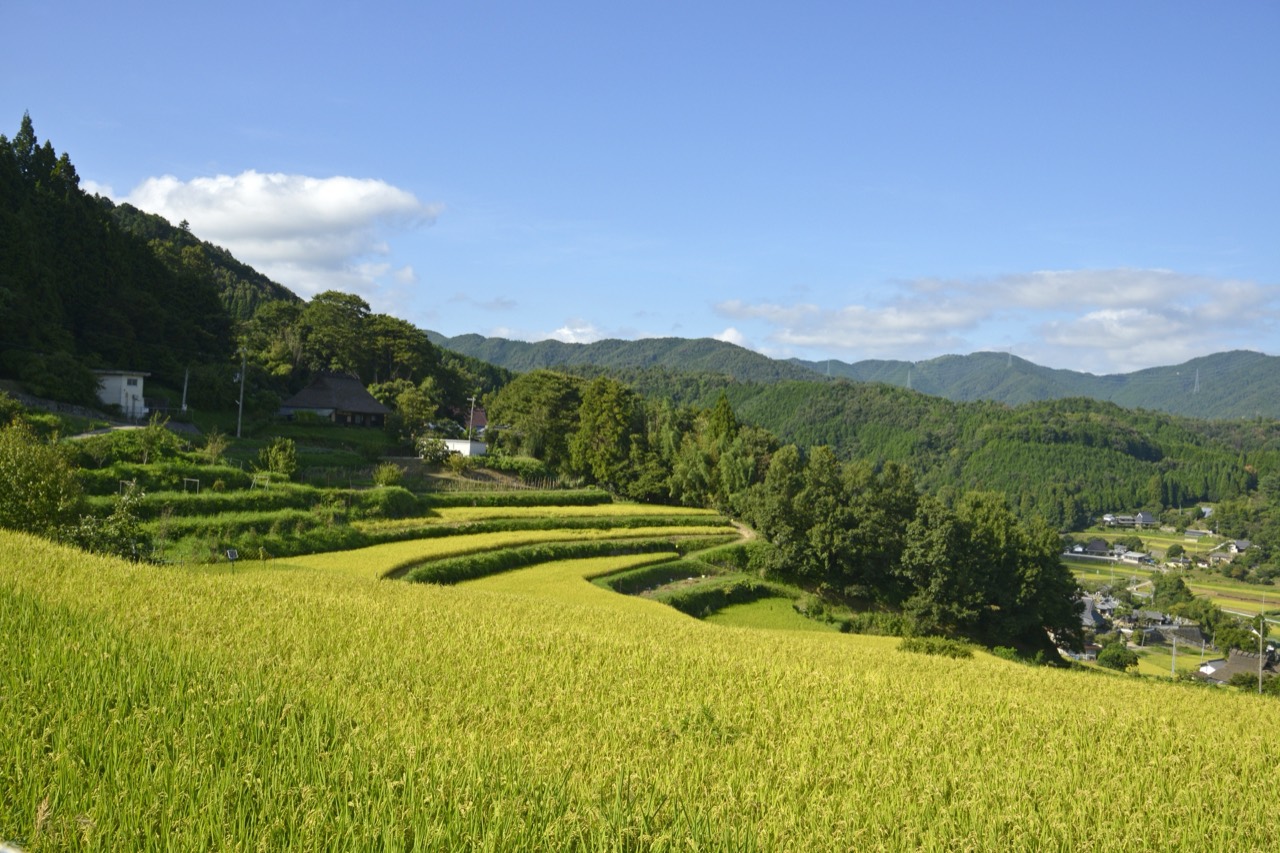 Nose Onsen (能勢温泉)