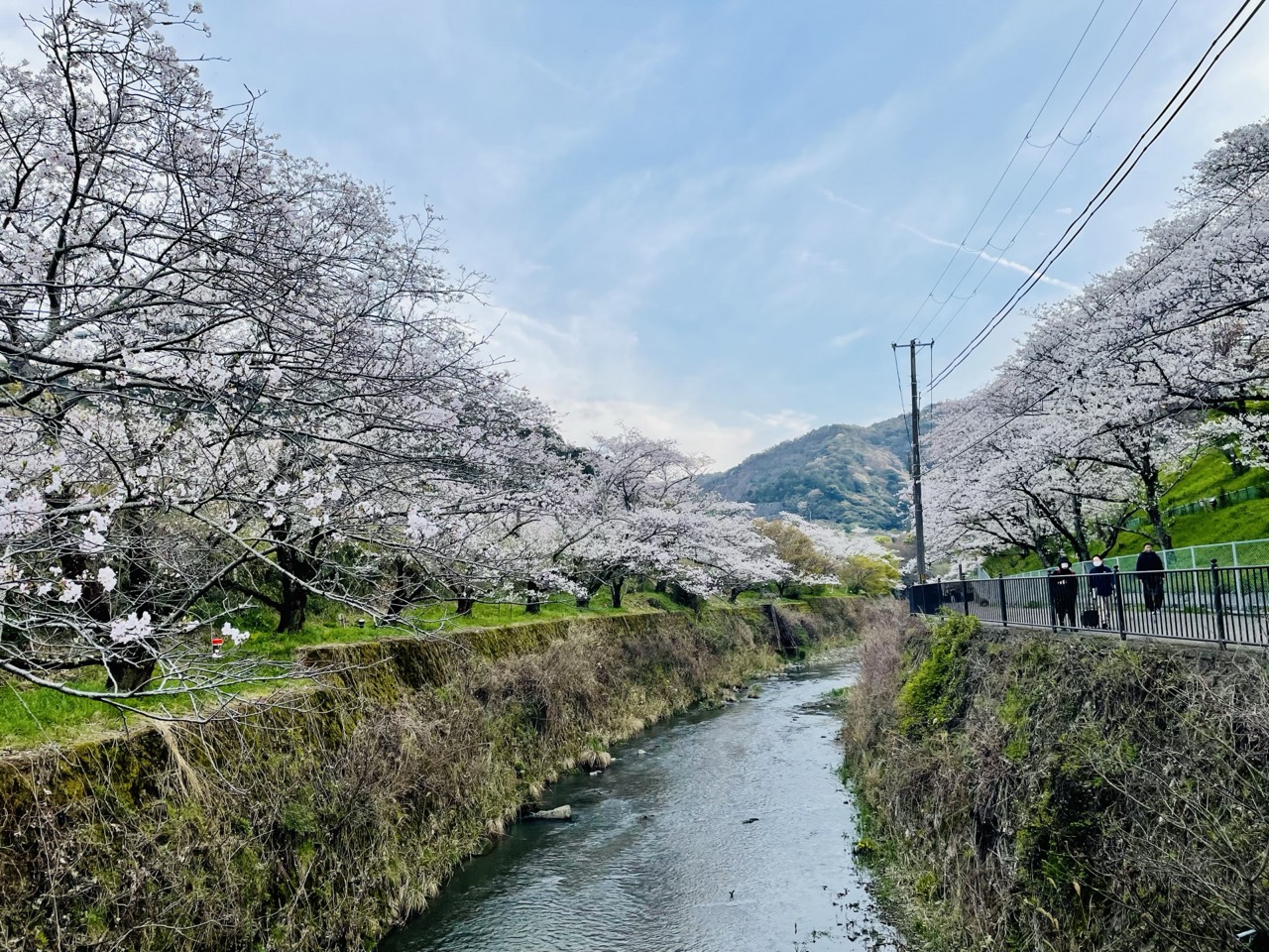 Yamanakadani Onsen (山中渓温泉)
