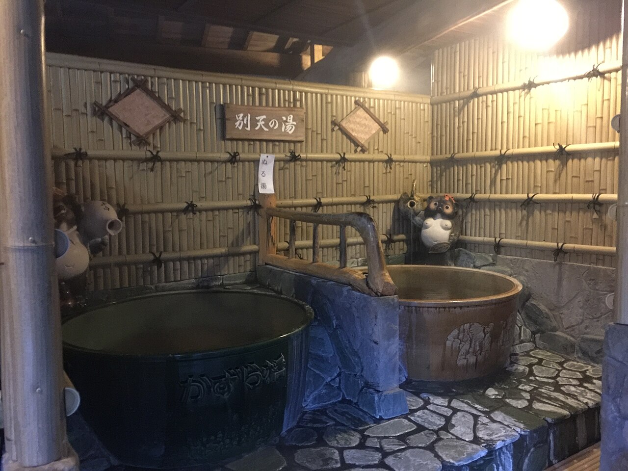 Shin-Iya Onsen (新祖谷温泉)