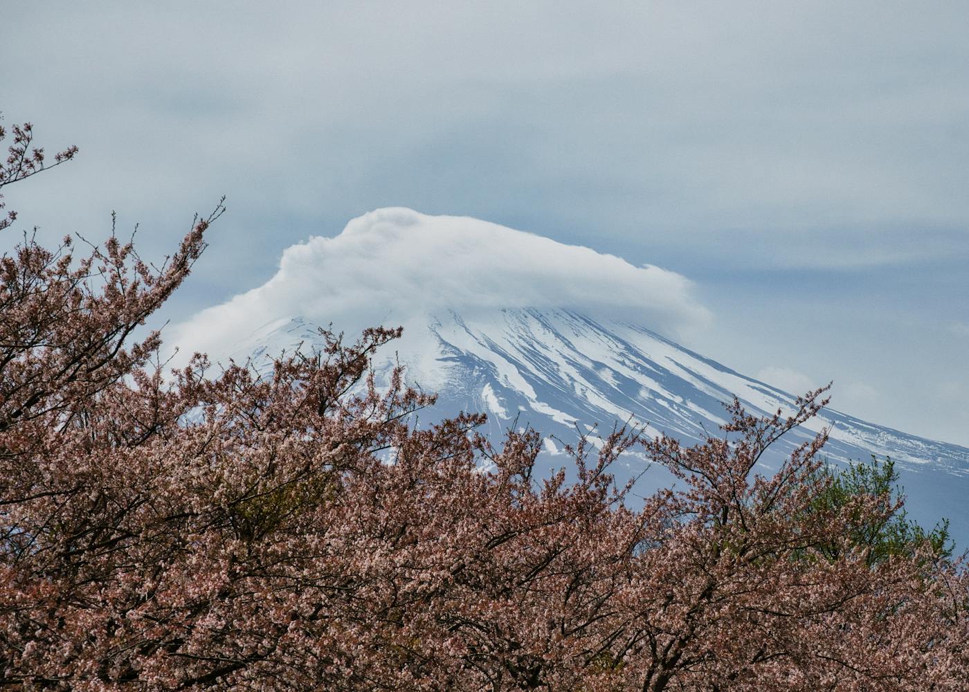Shizuoka (静岡) onsen guide